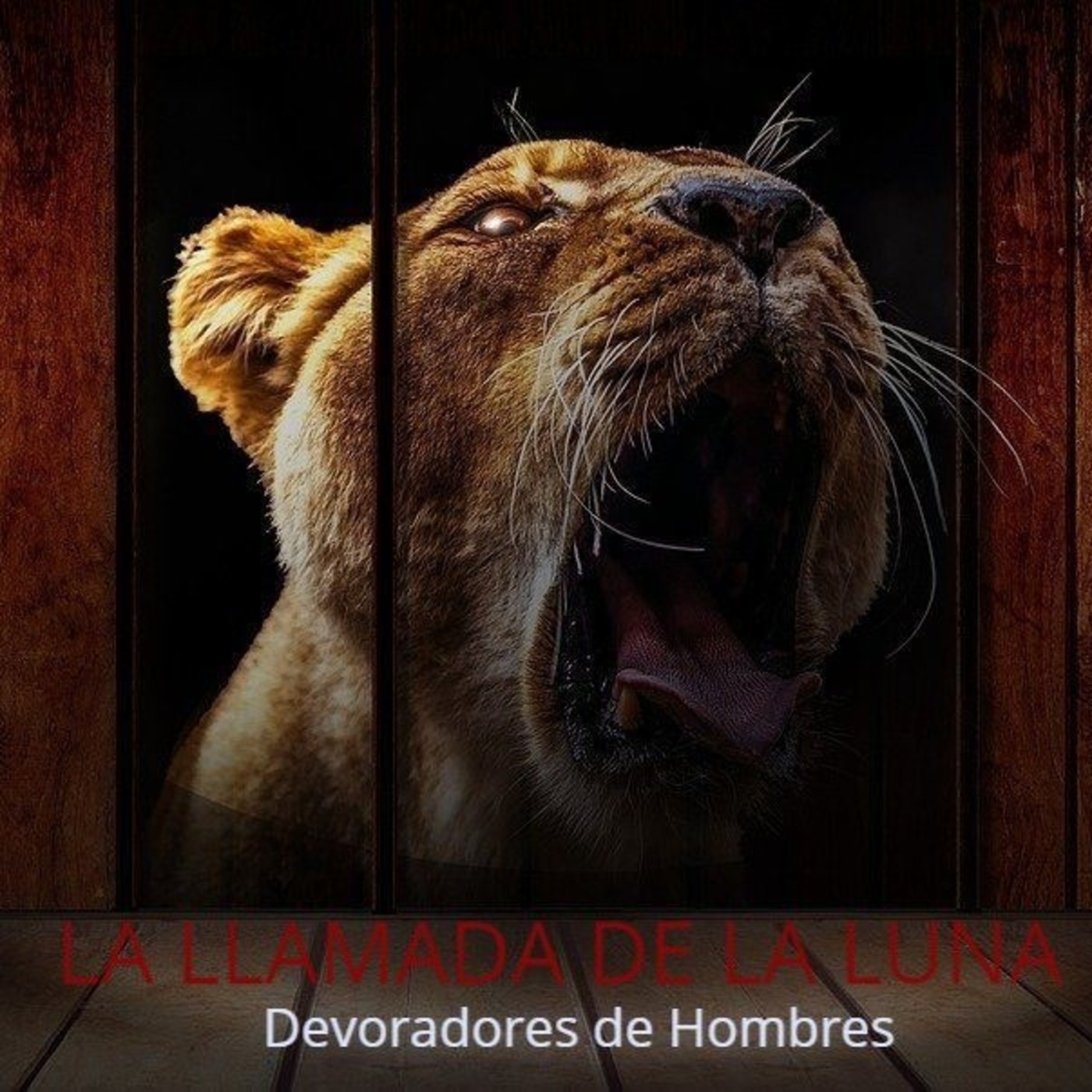 La Llamada De La Luna (LLDLL)
