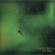 219 - Millenium - The Web (2019)