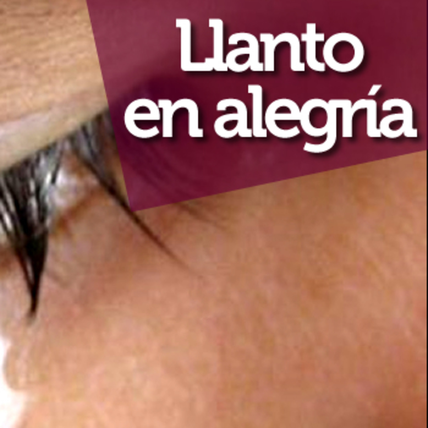 Maná, el magazín que alimentará tu vida