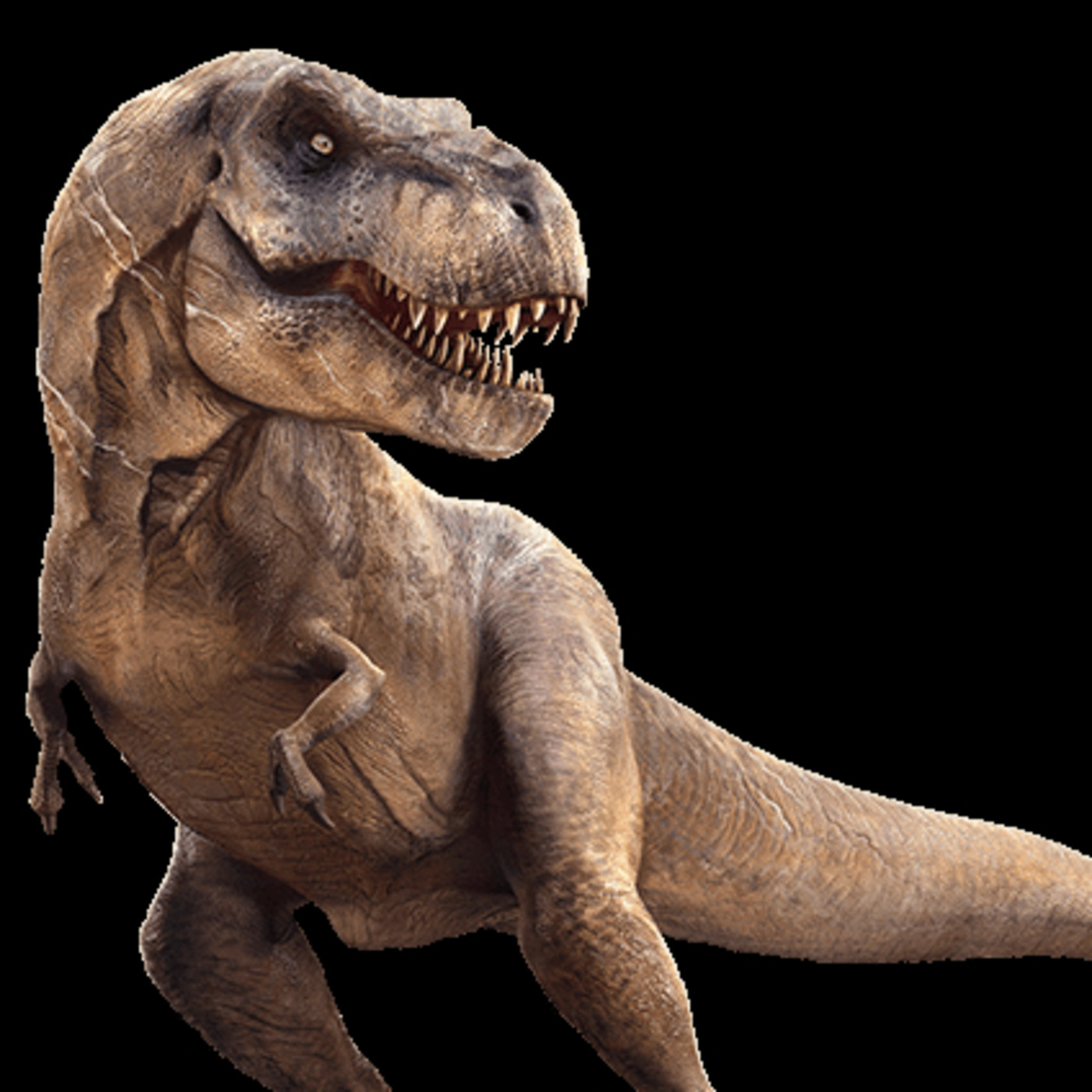 Gabitxu the Yellow Friend