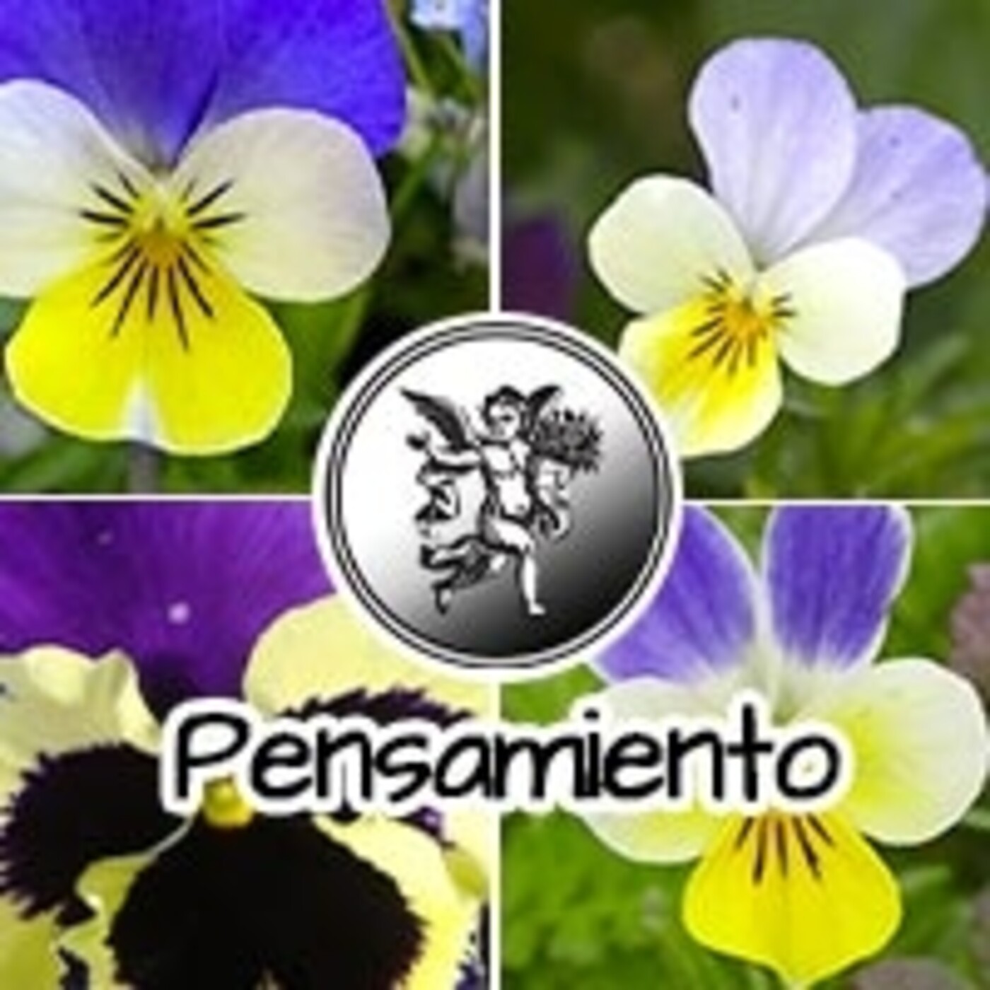 El Angel de tu Salud - PENSAMIENTO* episode artwork