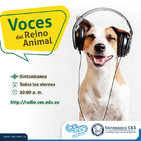 Rescate y adopción animal