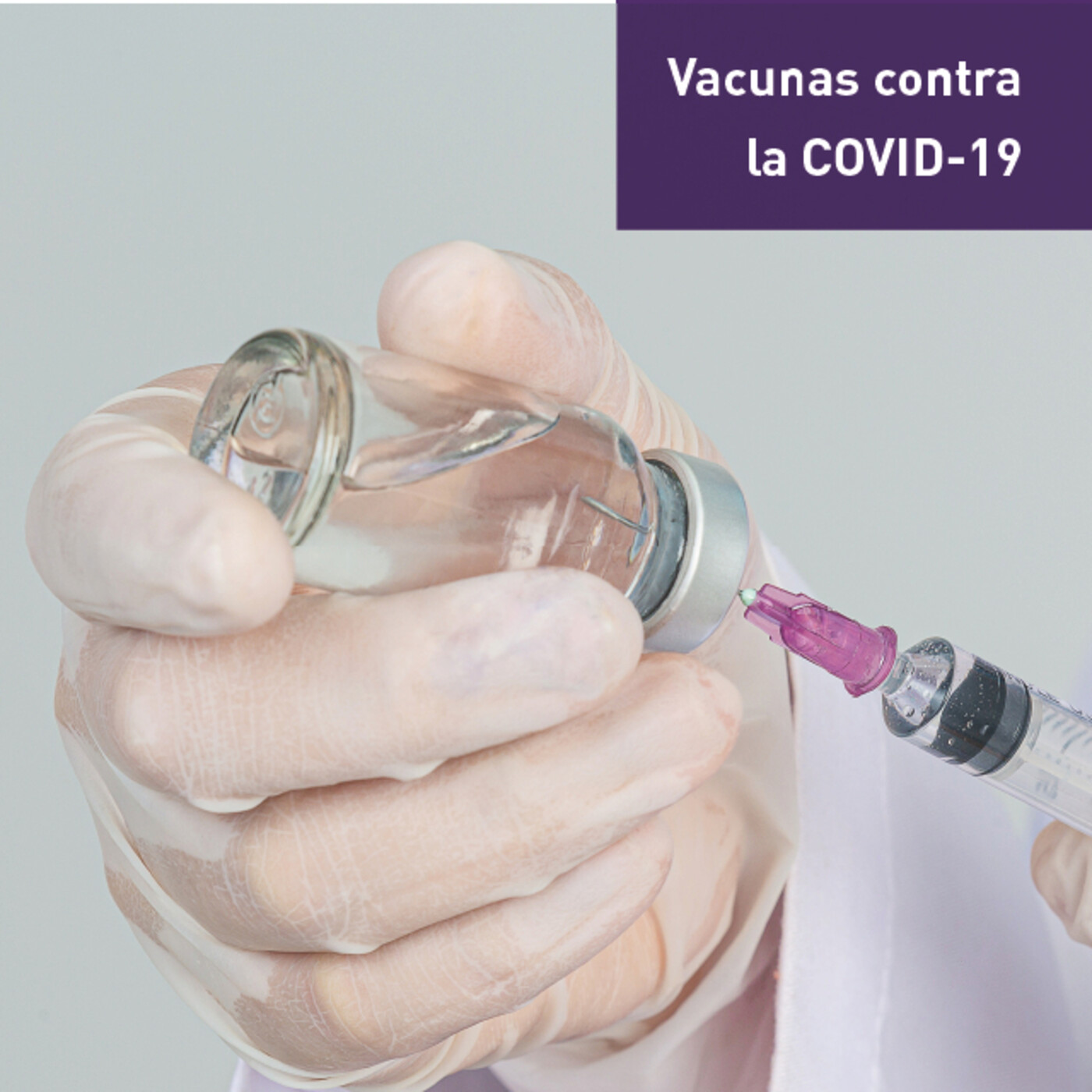GEICAM T-Habla