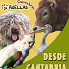 Huellas cantabria 7 - 12 de noviembre