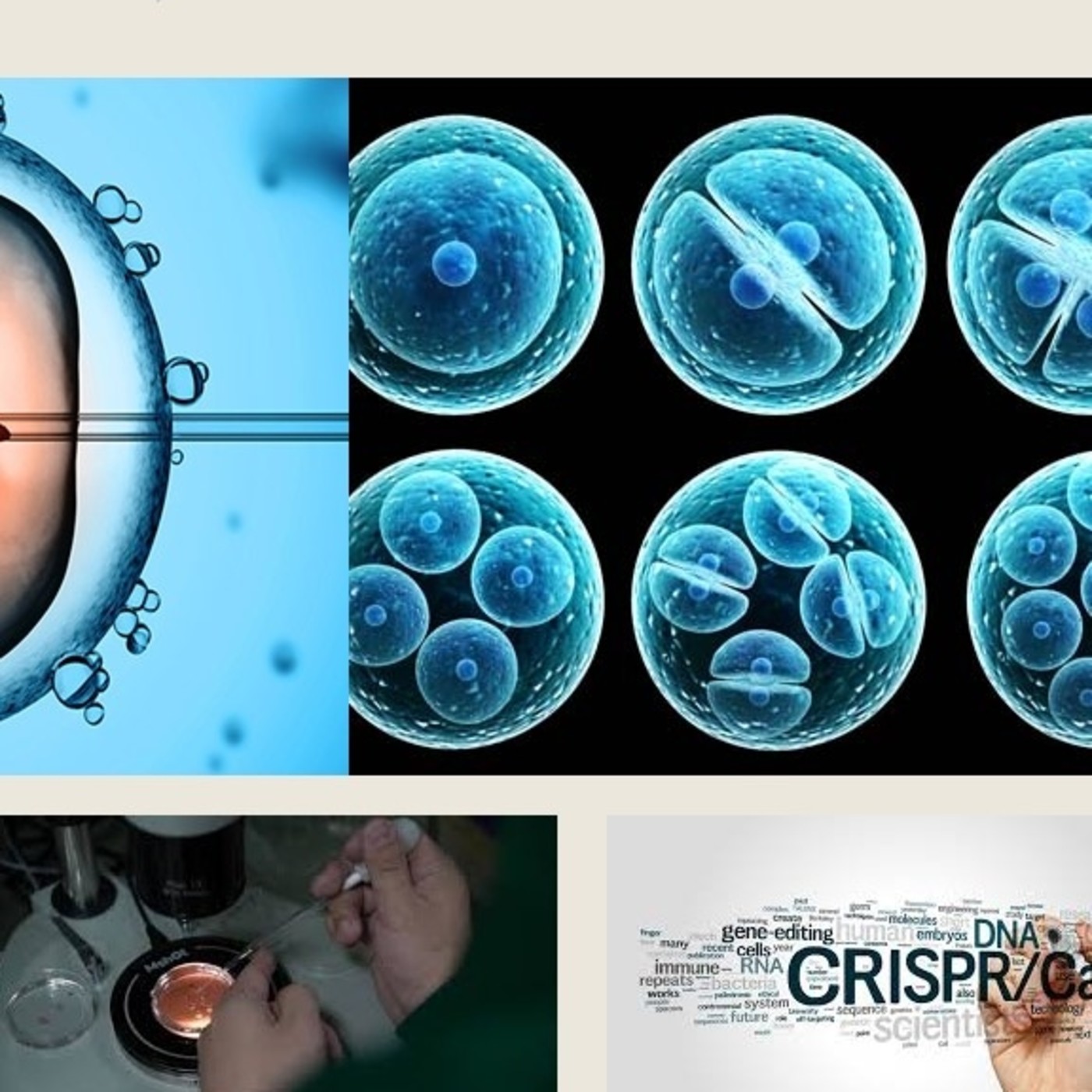 El Genoma Humano y CRISPR CAS9