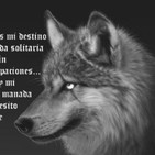 El poder del lobo solitario. La soledad buscada