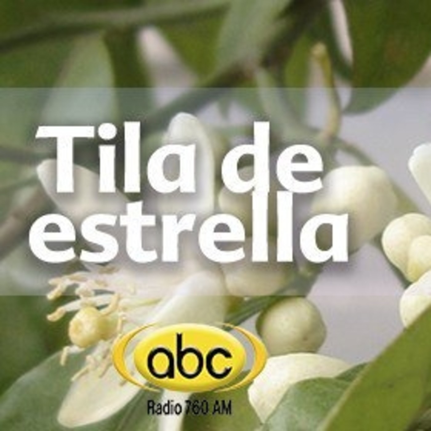 El Angel de tu Salud - TILA ESTRELLA episode artwork