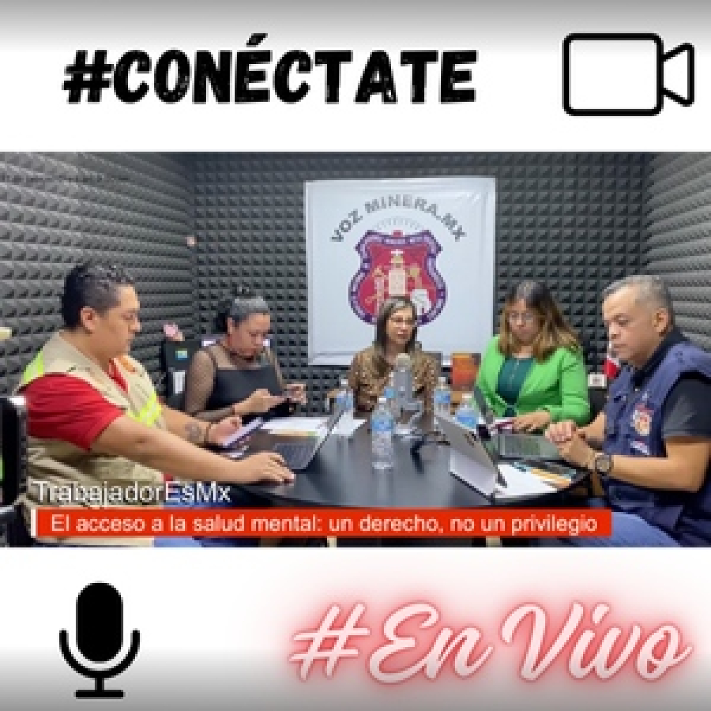 Voz Minera MX
