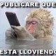 Despertar del espíritu
