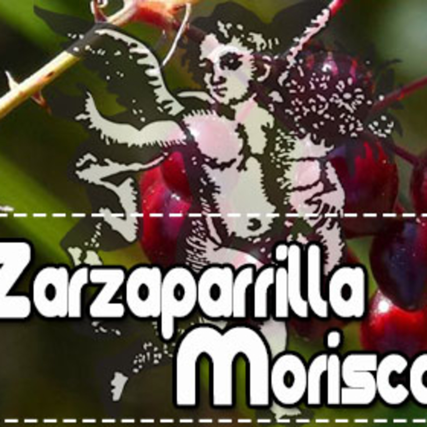 El Angel de tu Salud - ZARZAPARRILLA MORISCA episode artwork