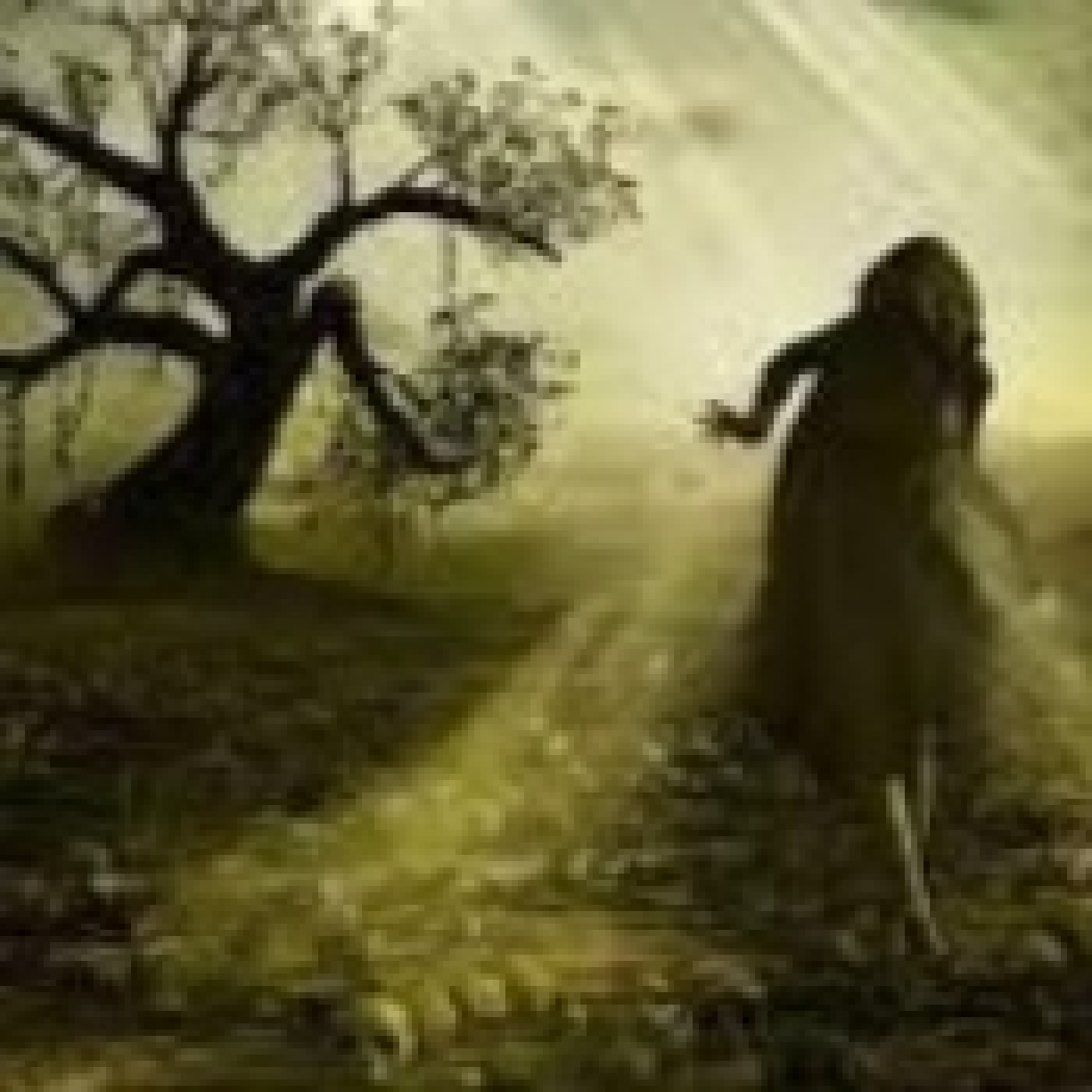 Luces en la oscuridad