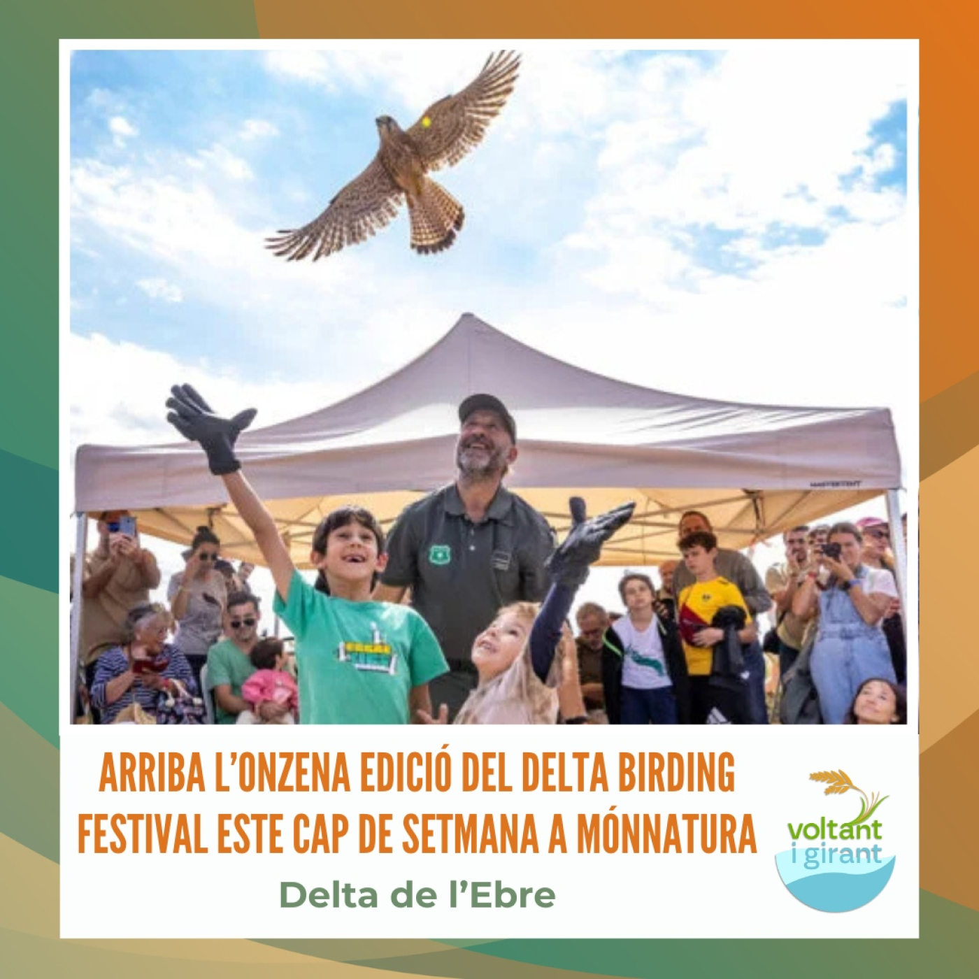 Arriba l’onzena edició del Delta Birding Festival este cap de setmana a MónNatura episode artwork
