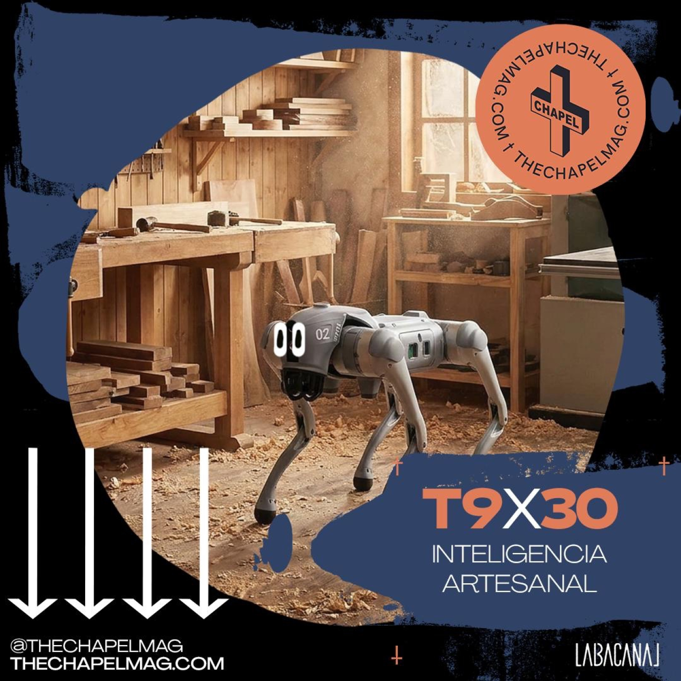 T9x30 + INTELIGENCIA ARTESANAL + episode artwork