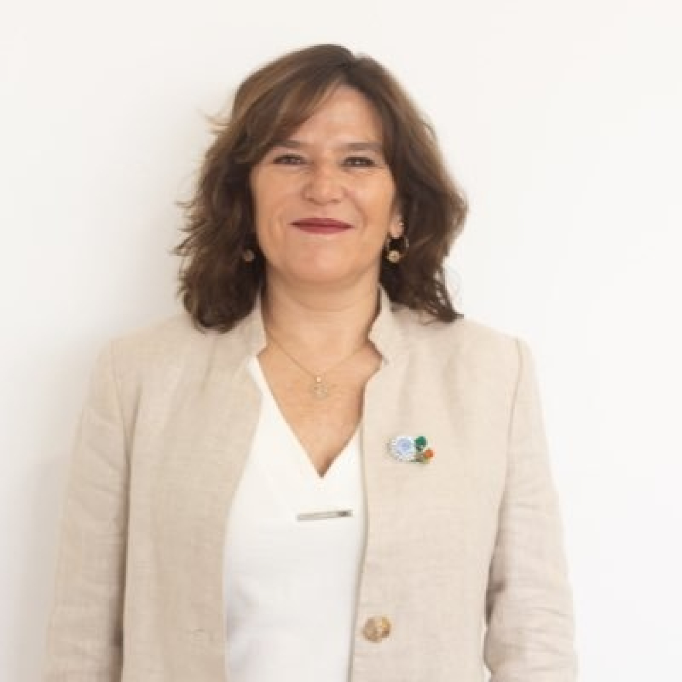Ines Brizuela y Doria Vicepresidente de la UCR @ines_byd @todojusticia1 29-9-2024