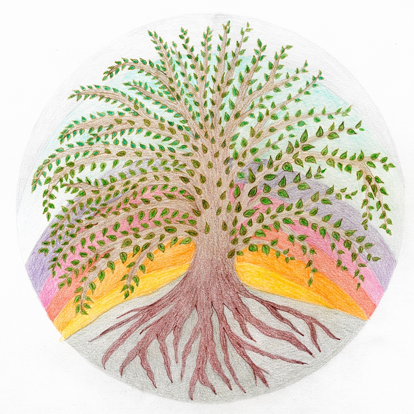 CONCIENCIA Y MEDITACIÓN
