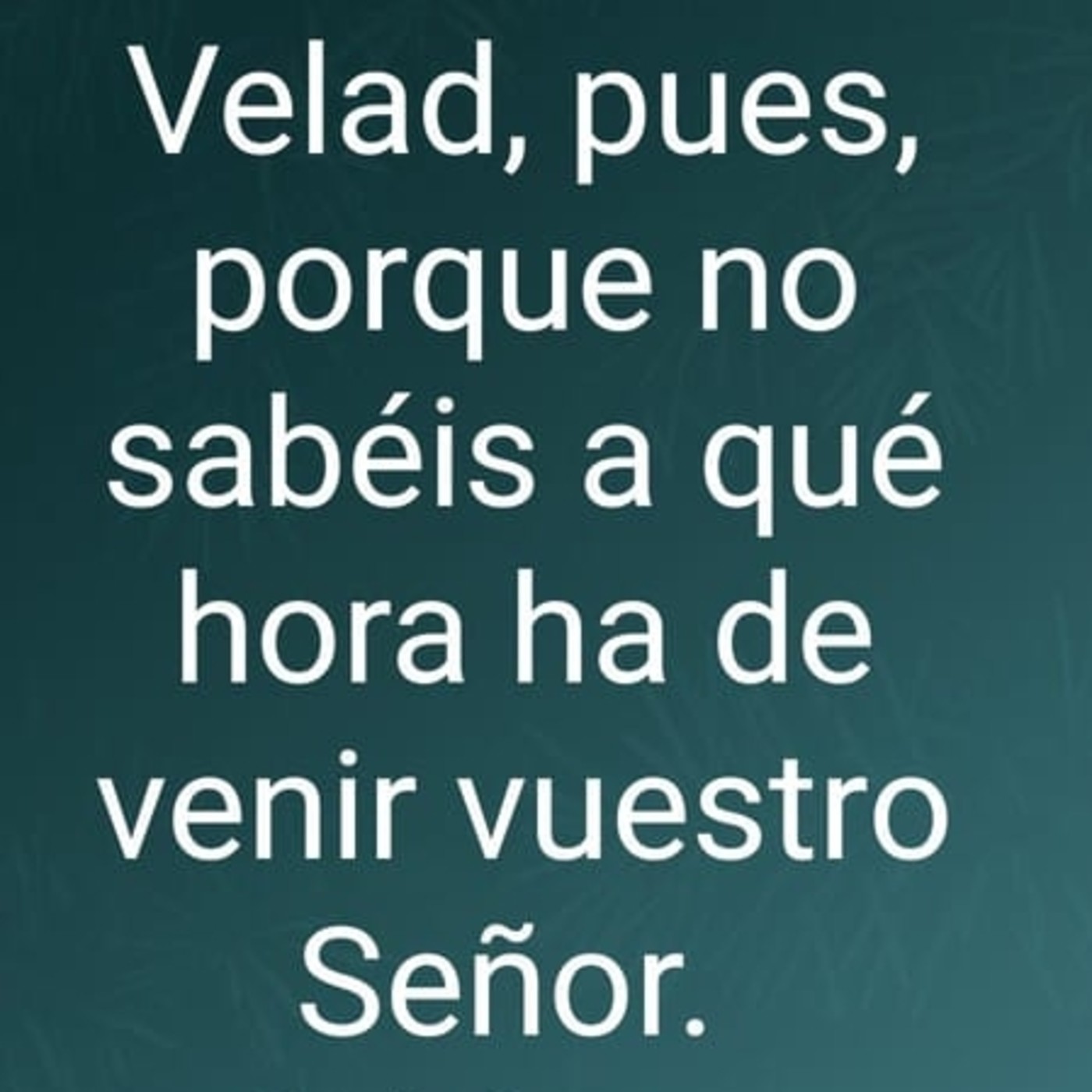 Sermones