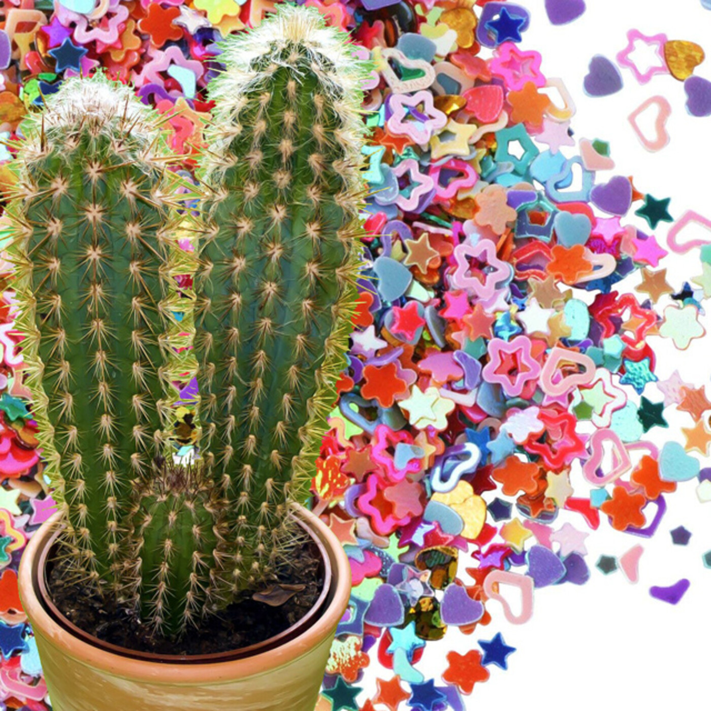 Cactus Confetti