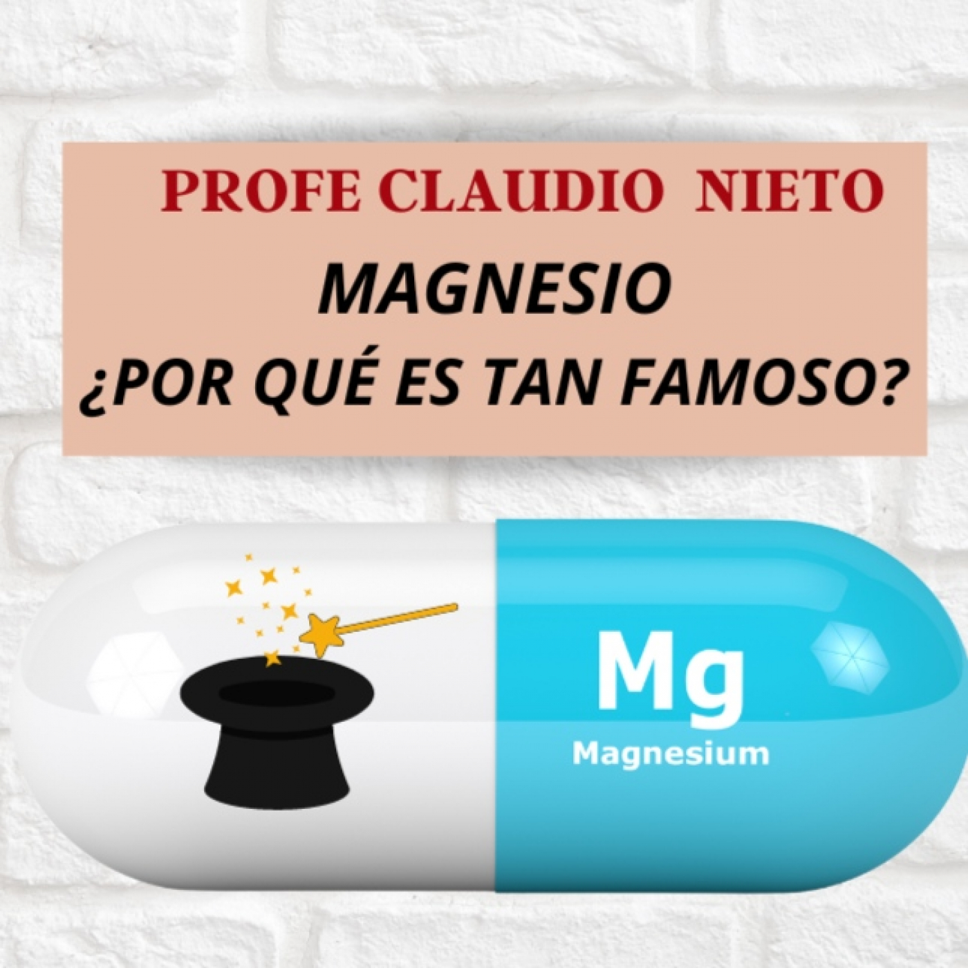 PROFE CLAUDIO NIETO