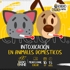 T02E08. Intoxicación en animales domésticos