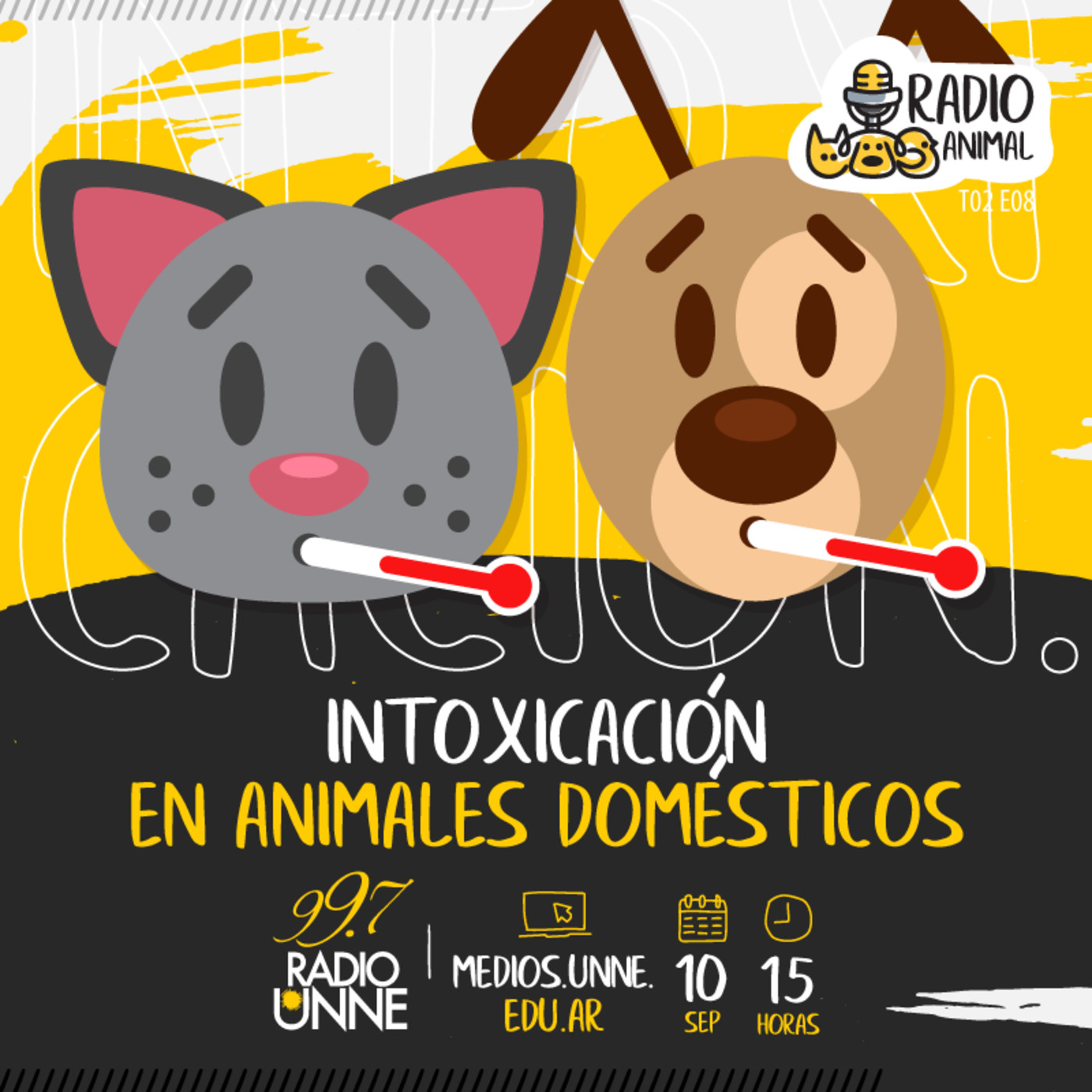 Radio Animal