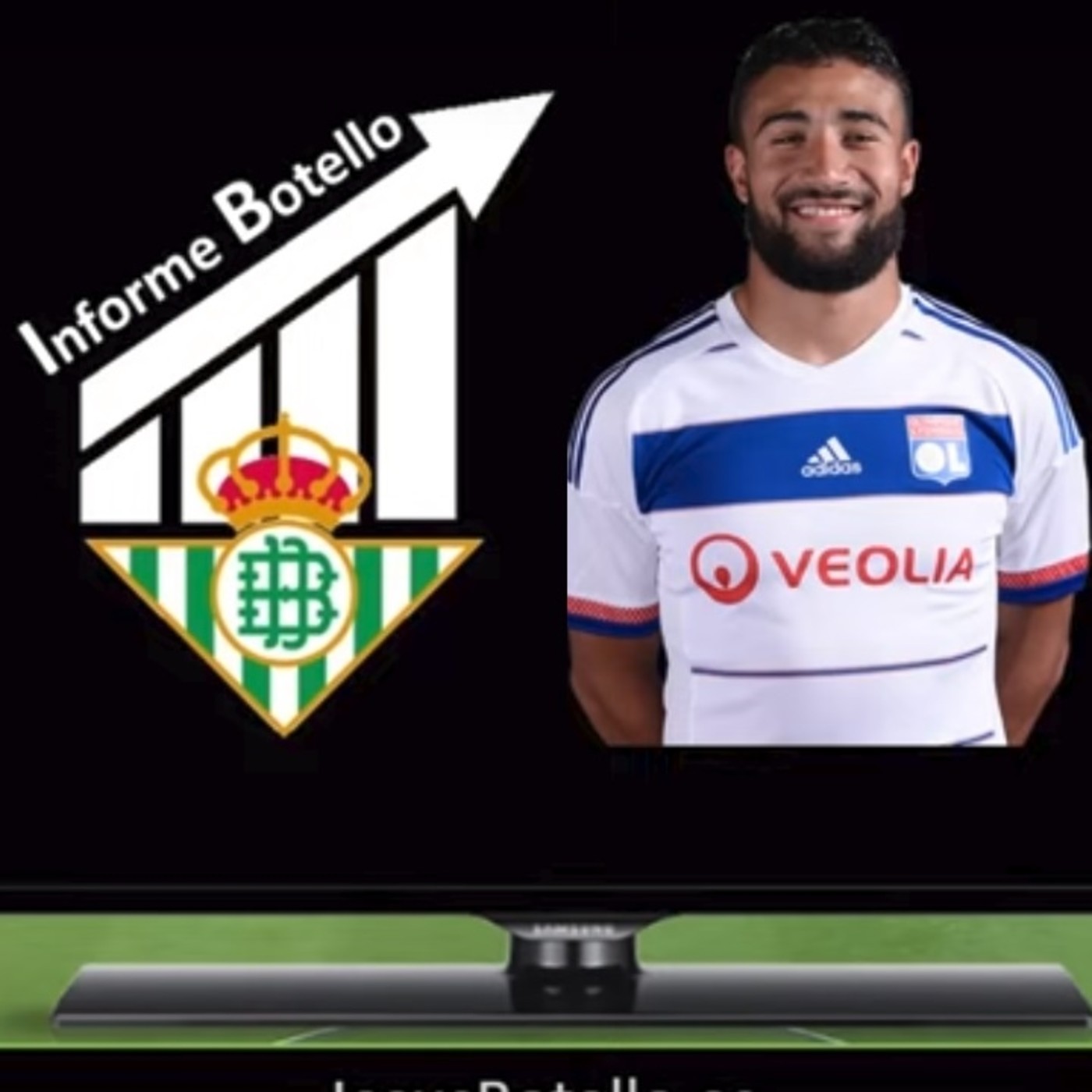 Informe Botello