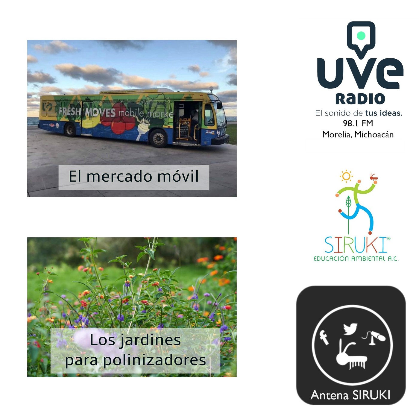 Programa 76-El Mercado Móvil, Los Jardines para Polinizadores.