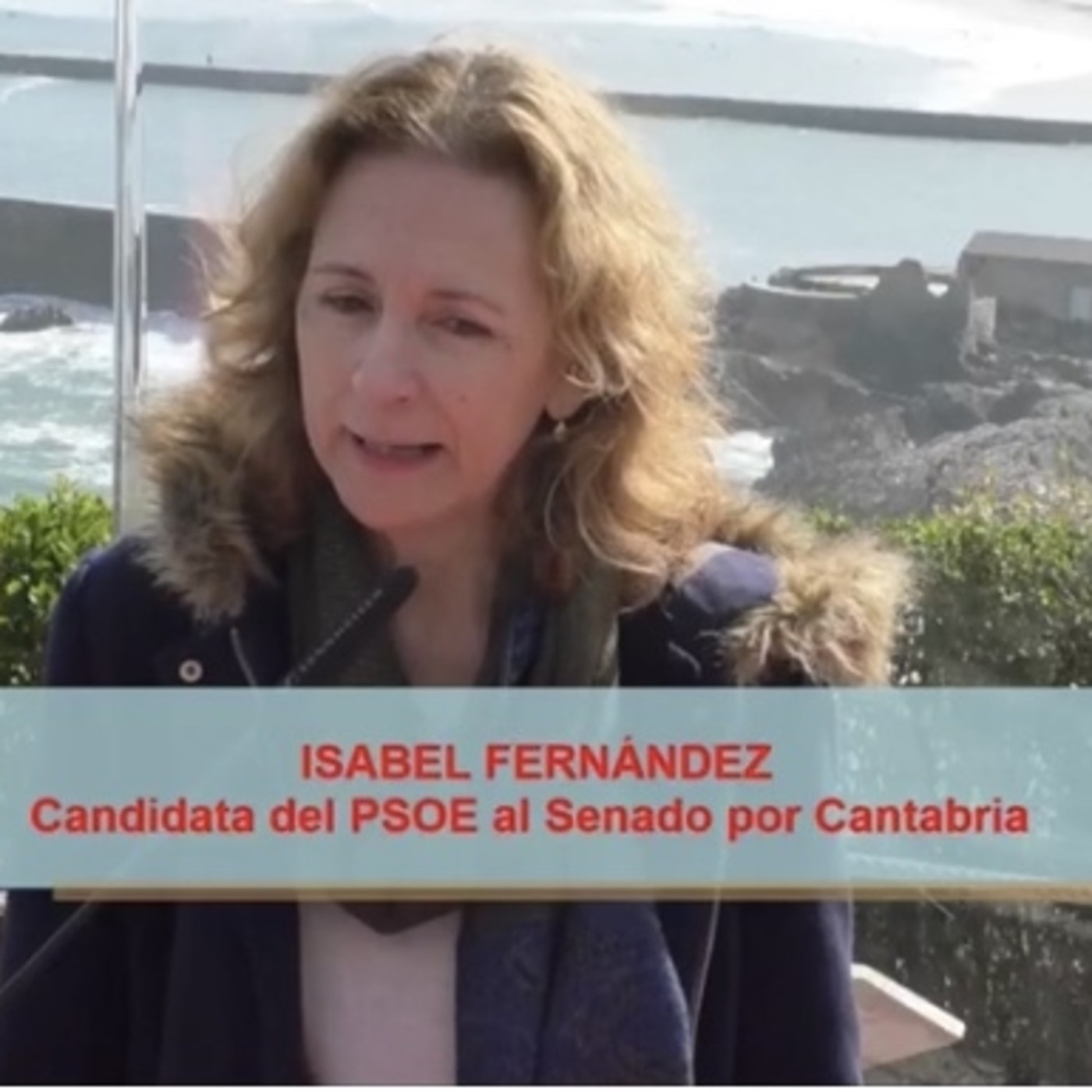 PSOE de Cantabria