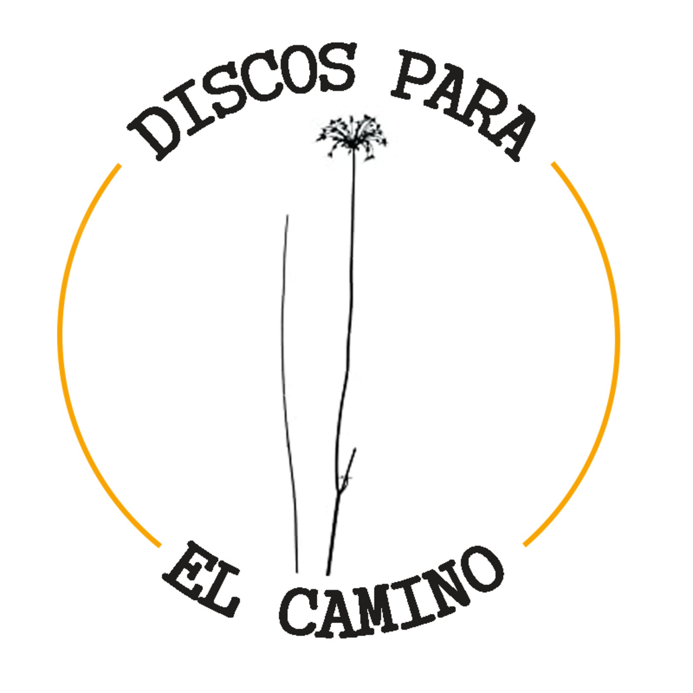 Discos para el Camino