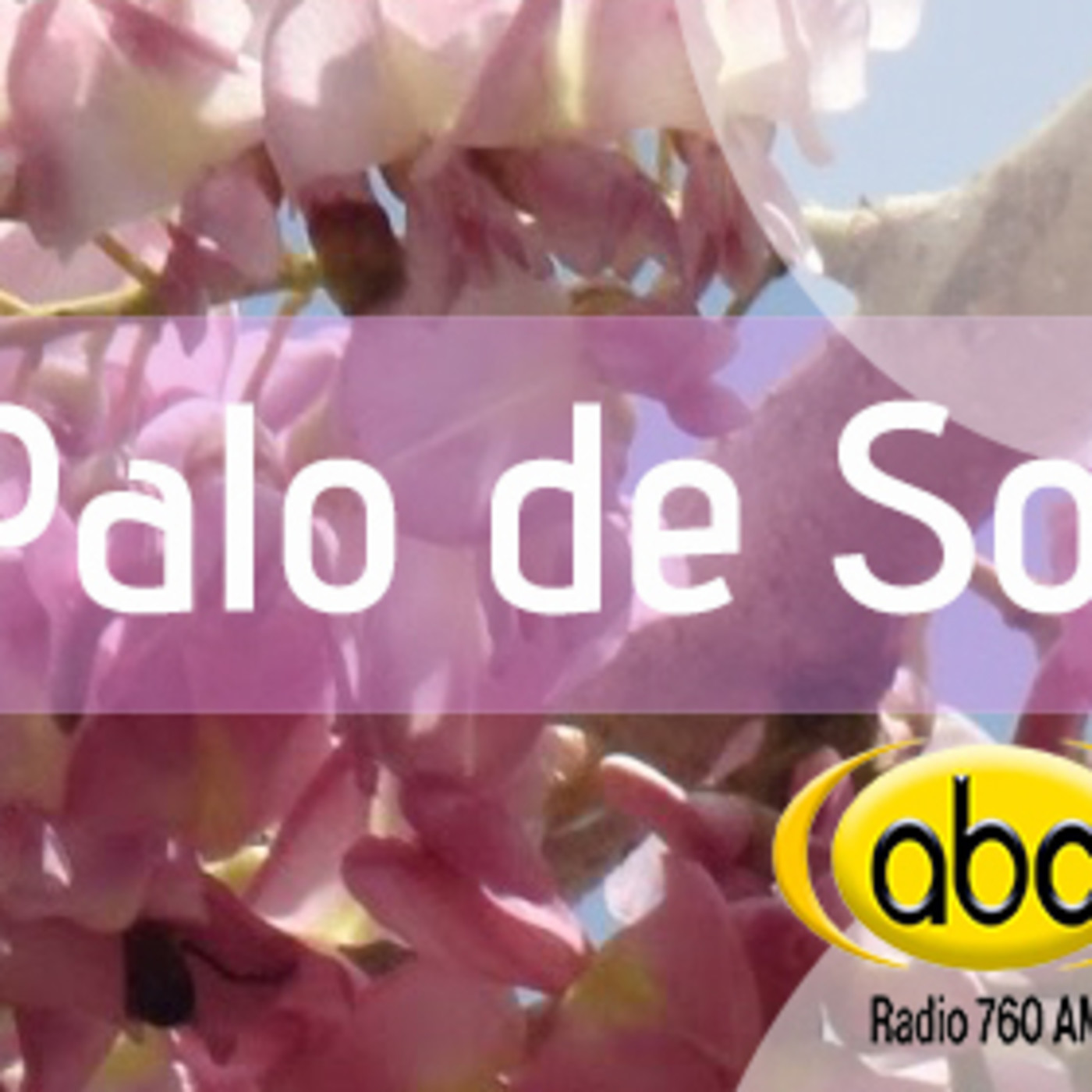 El Angel de tu Salud - PALO DE SOL episode artwork