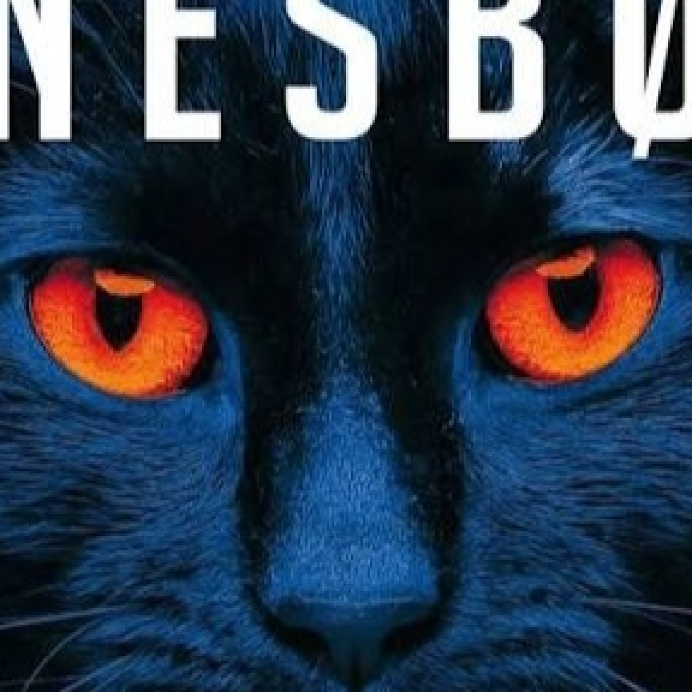 Biblioteca Sonora López-Tapia and Friends