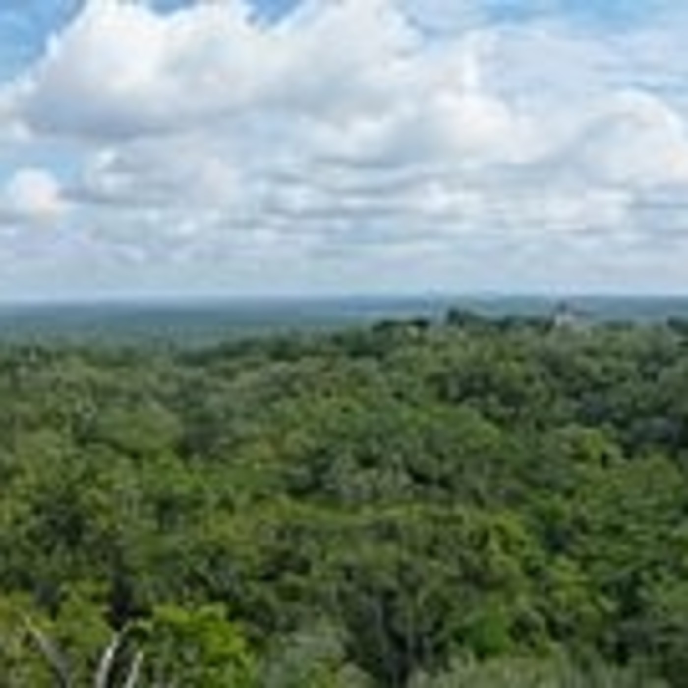Próxima Estación Esperanza