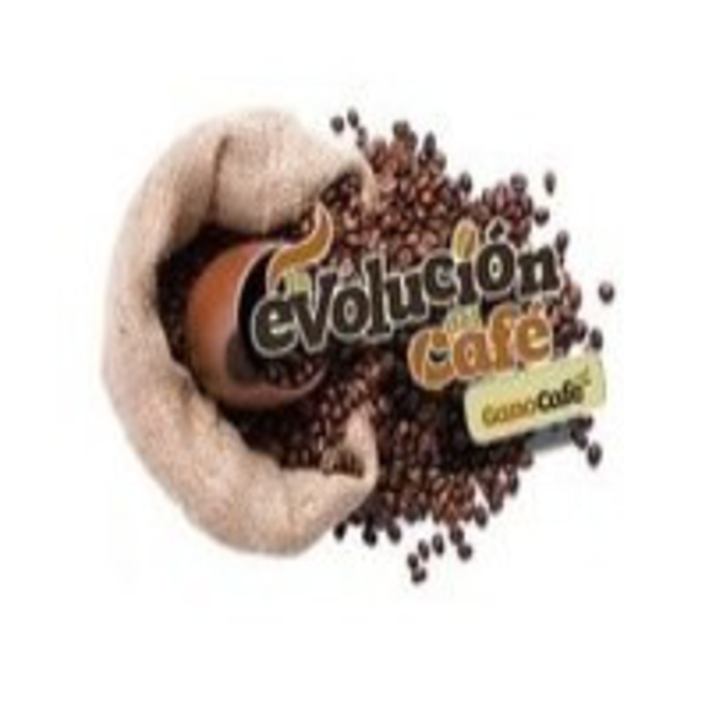 Presentación Servilleta 1 de 7