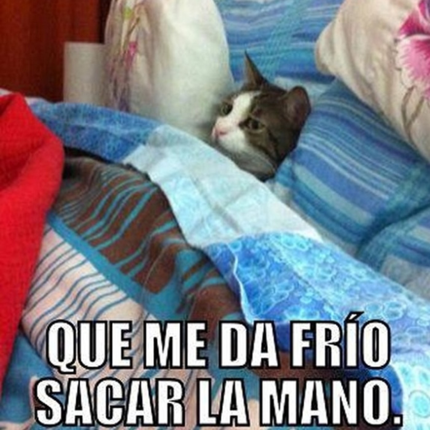 En tren de noticias