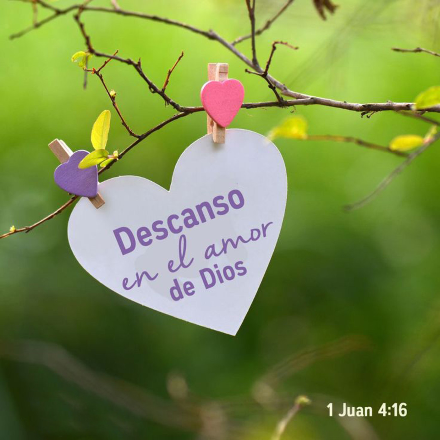 Despójate de ti en el silencio