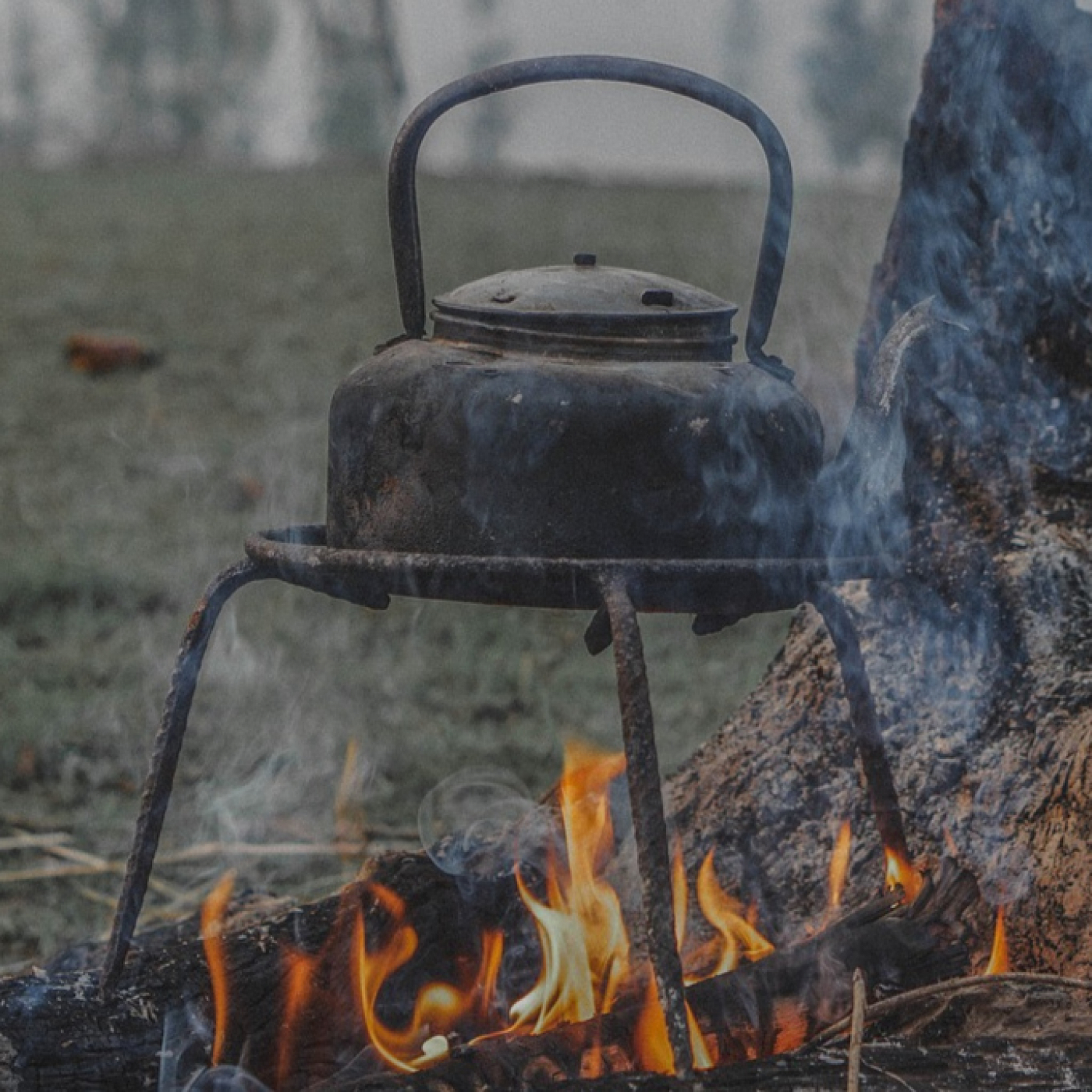 Las piezas que faltan