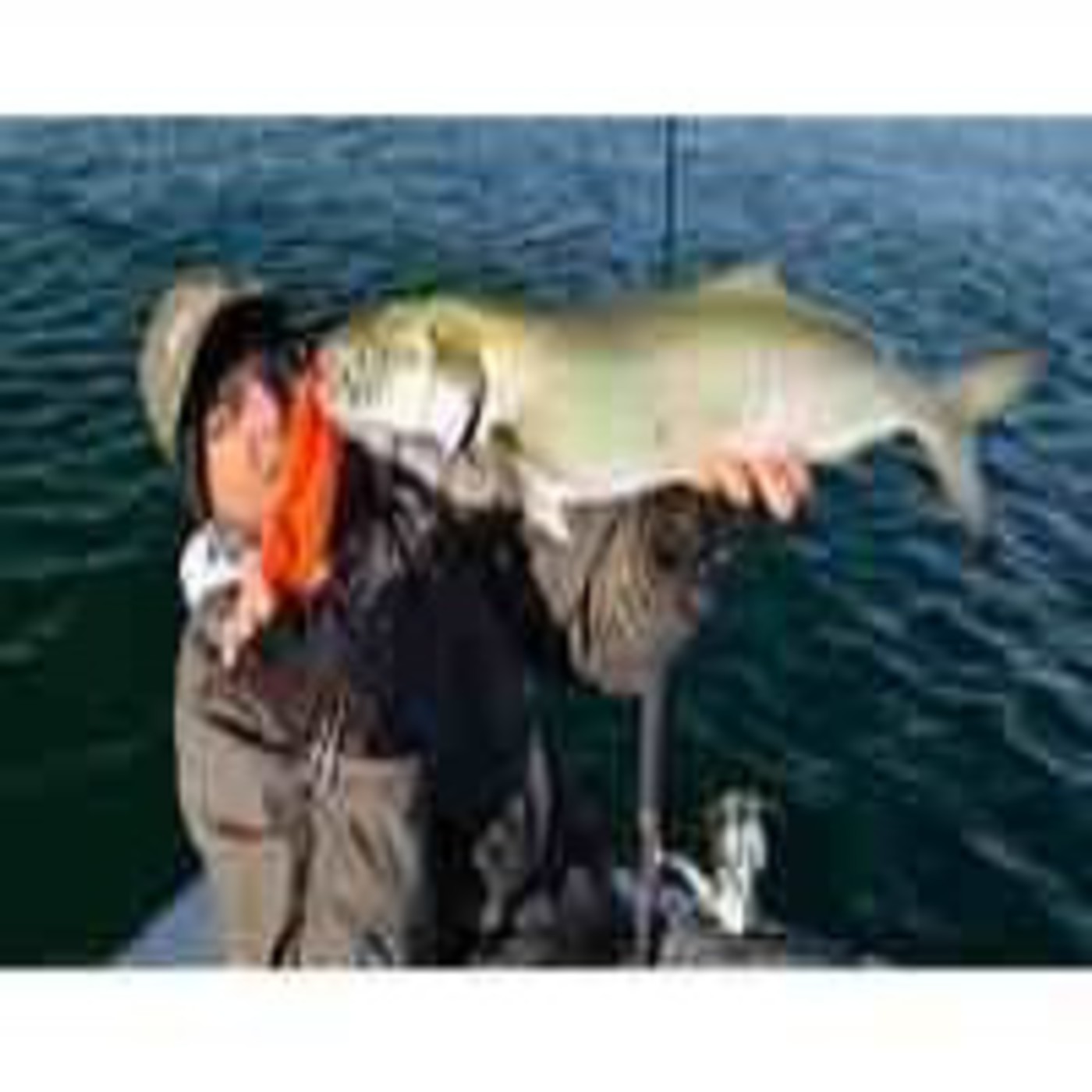 Podcast DIAL DE PESCA