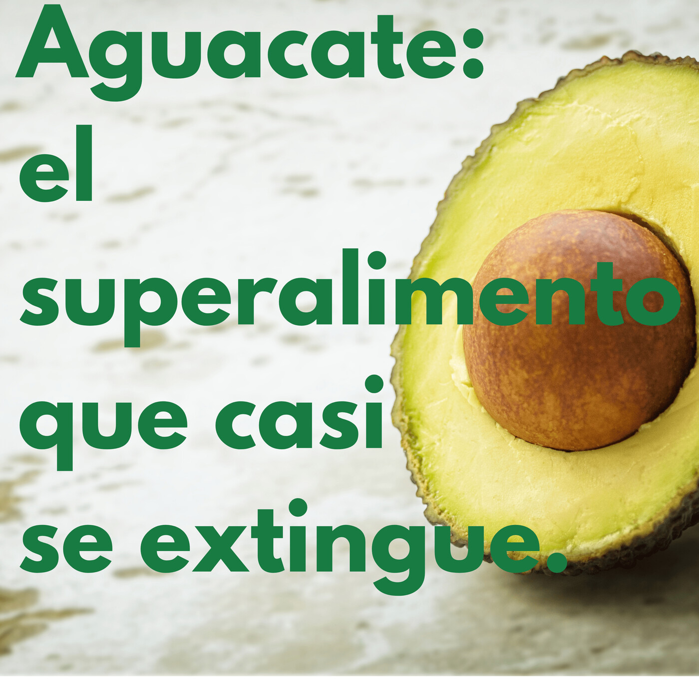 Por Amor a la Gastronomía