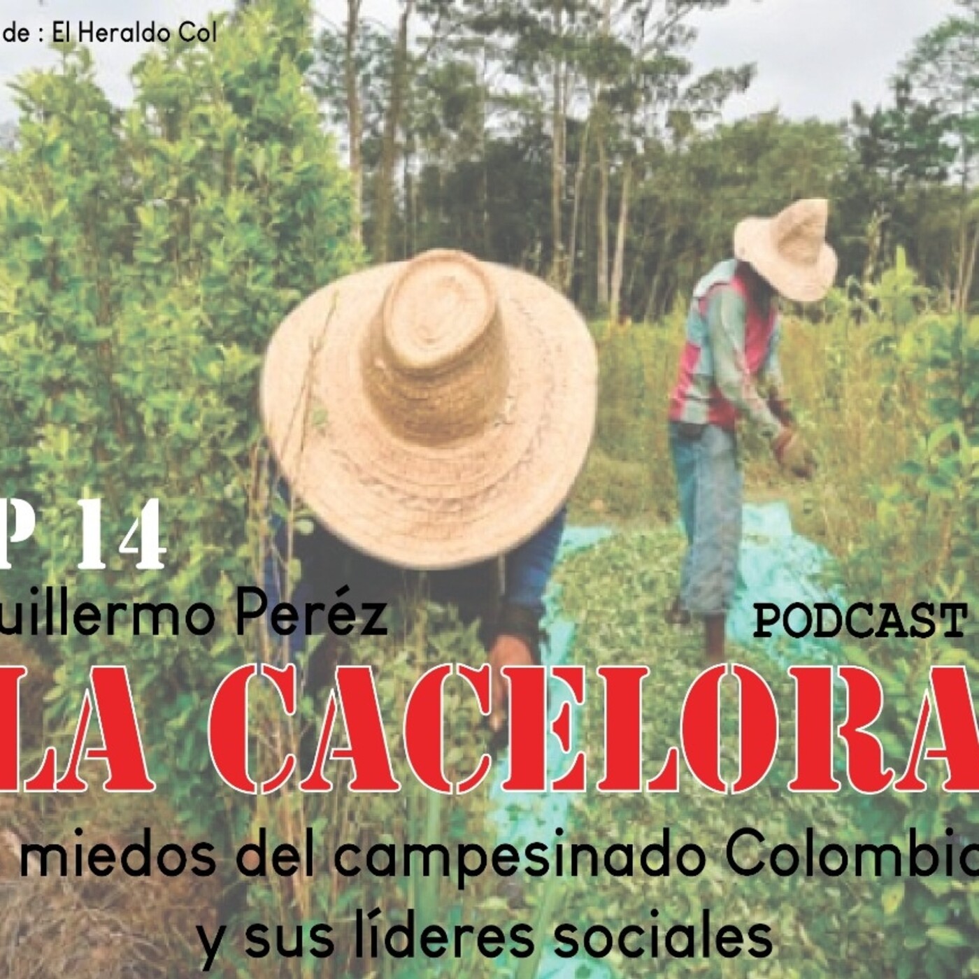 La Cacerola