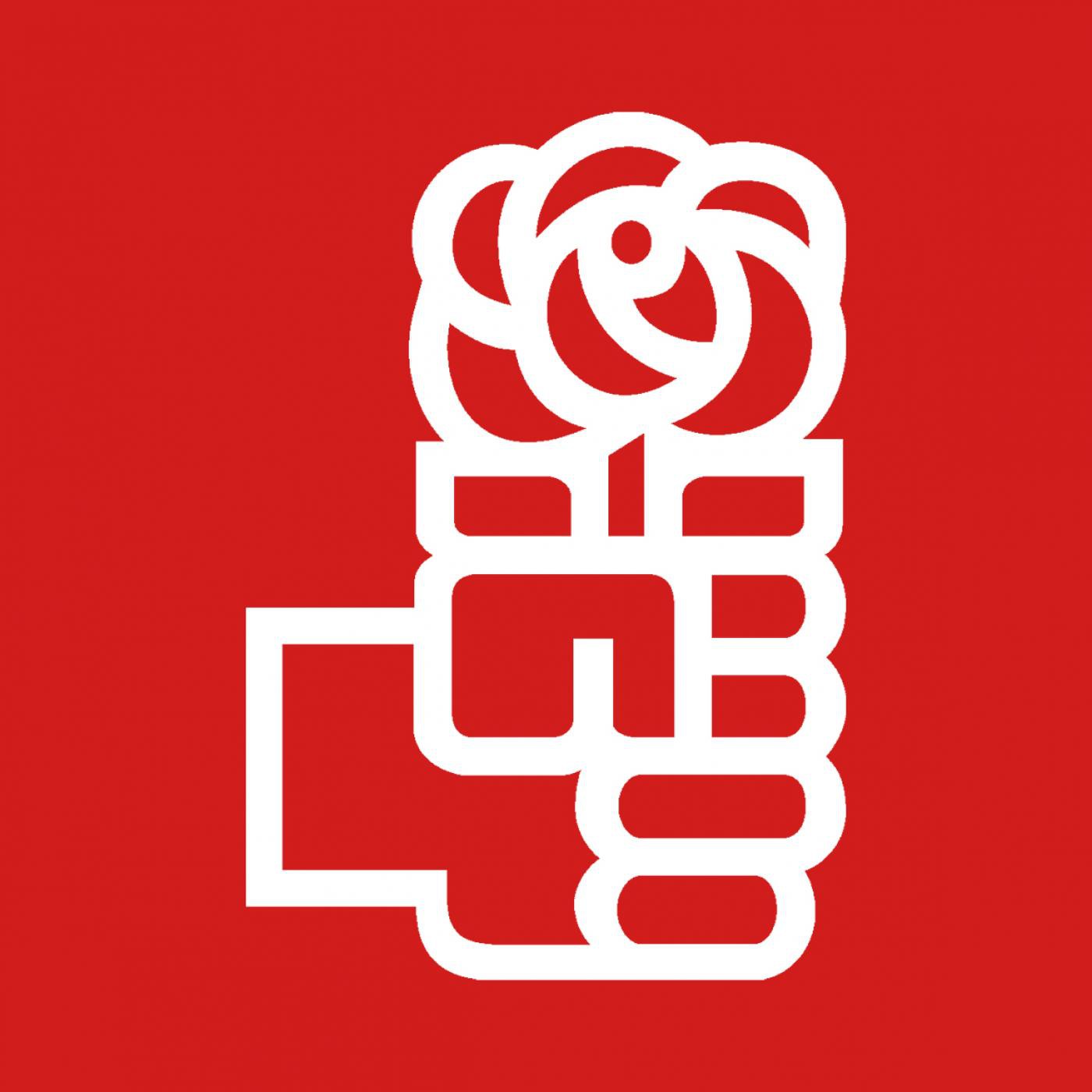 PSPV-PSOE Castelló