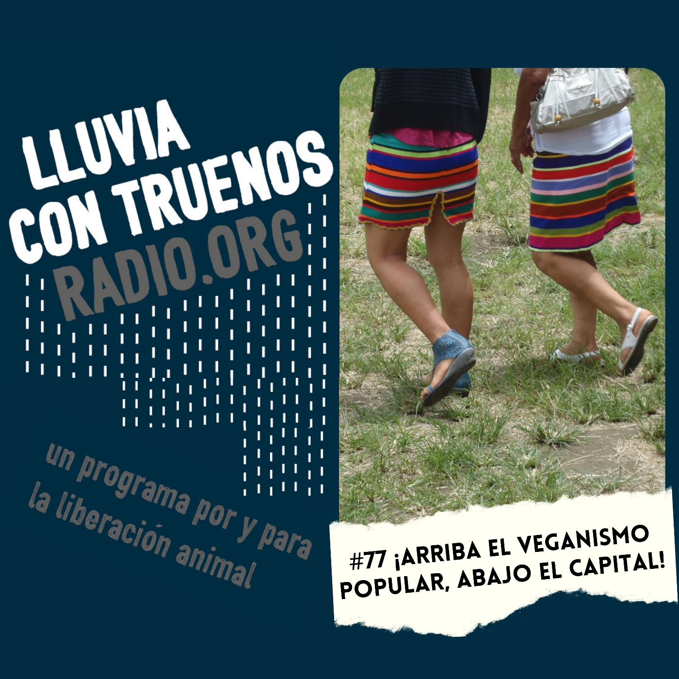#77 Arriba el veganismo popular, abajo el capital