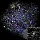 Inteligencia Colectiva (85)