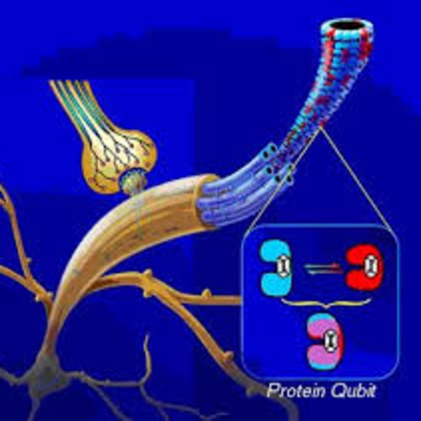 Podcast hospital virtual