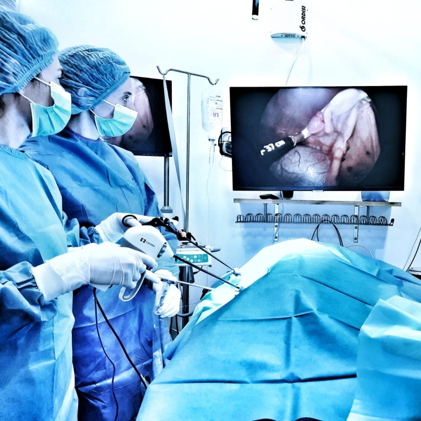 La Clinica Veterinària Pirineu ara pot fer intervencions a mascotes per laparoscòpia episode artwork
