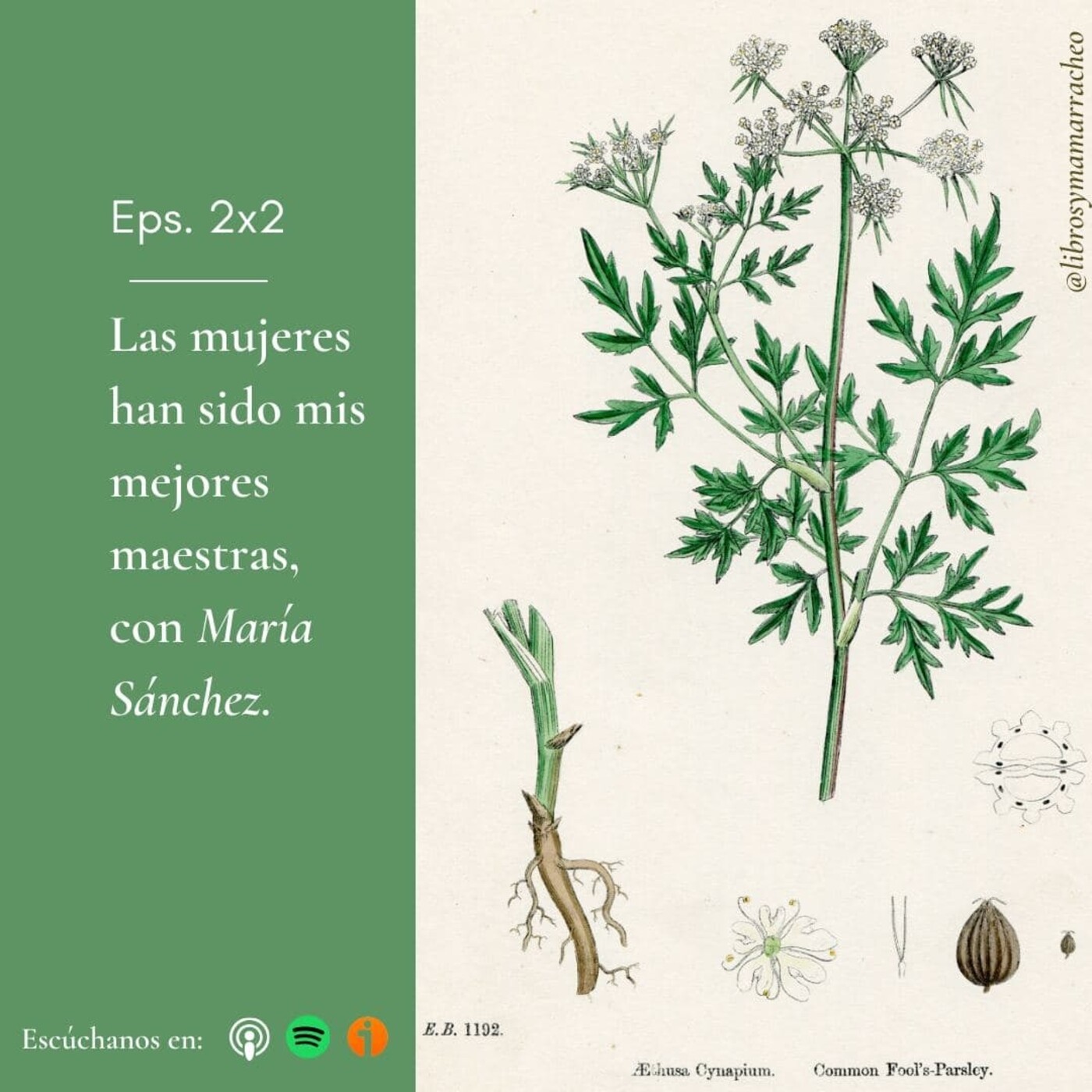 Libros y mamarracheo