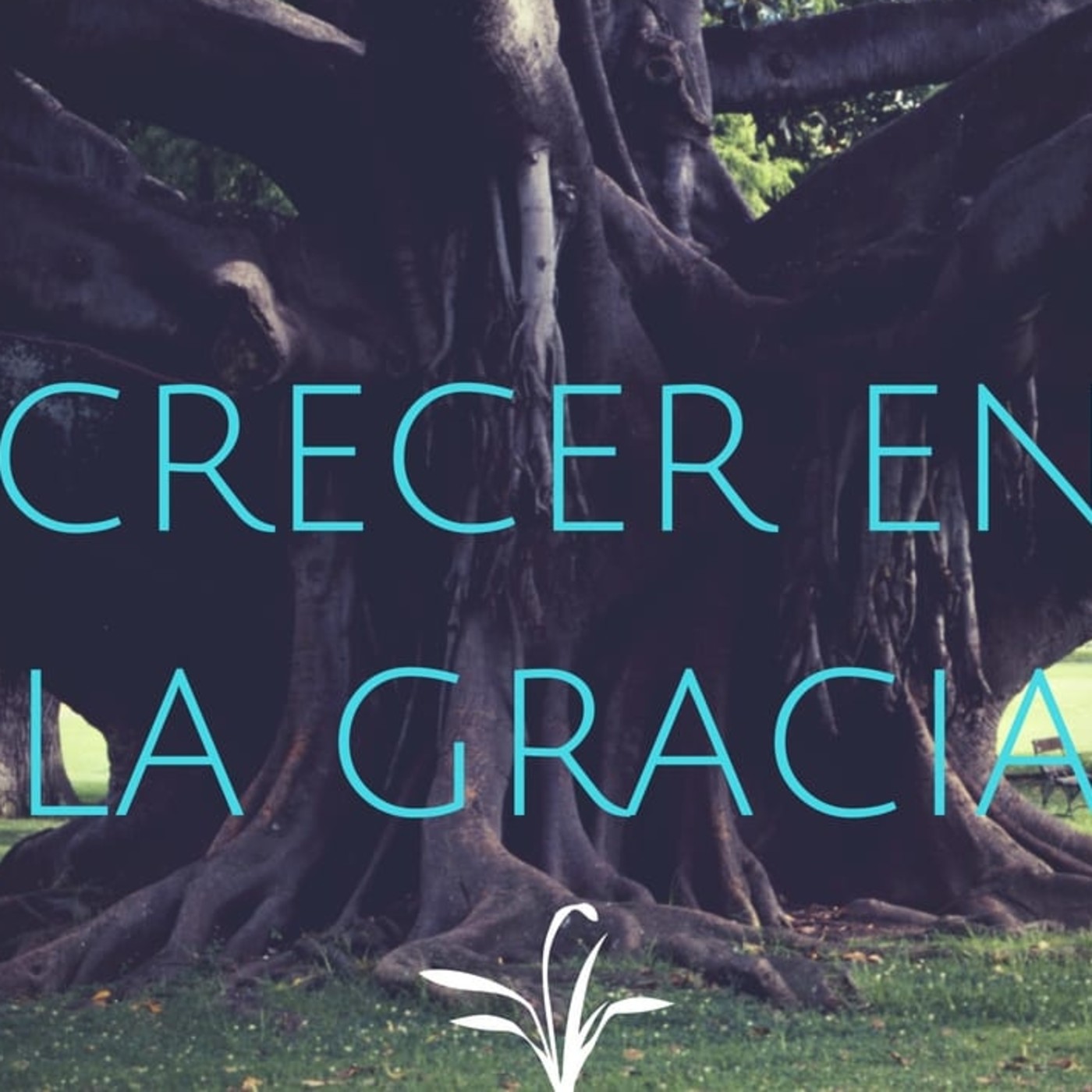 Creciendo en la Gracia 19 Andar en el espíritu - Pastor Kenneth Solá episode artwork
