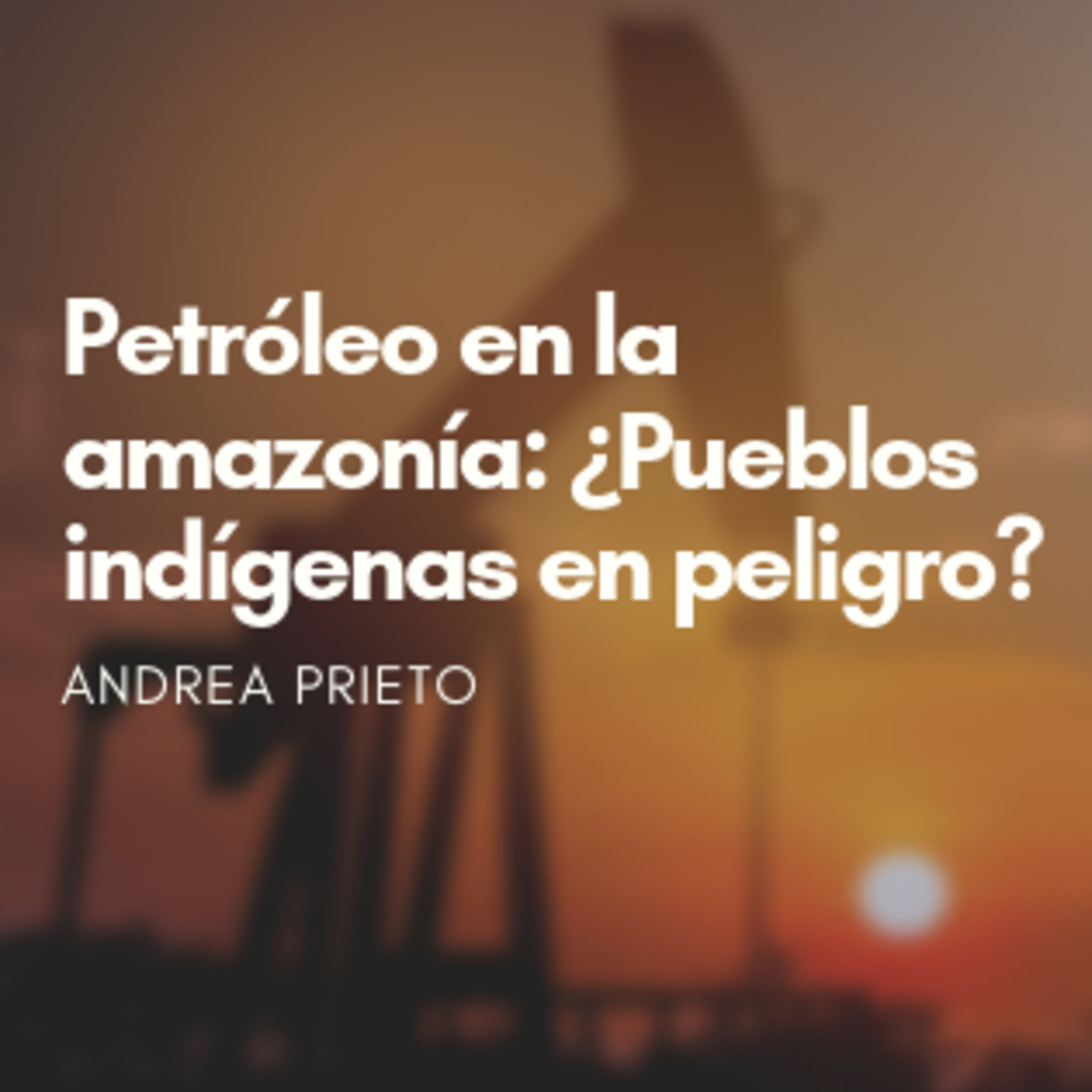 Asociación Ambiente y Sociedad