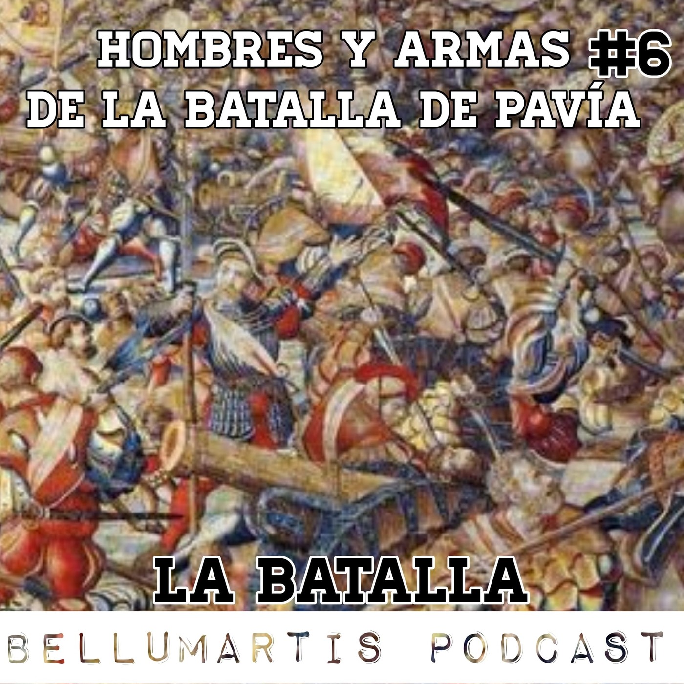HOMBRES Y ARMAS DE LA BATALLA DE PAVÍA #Cap. 8. "La batalla"