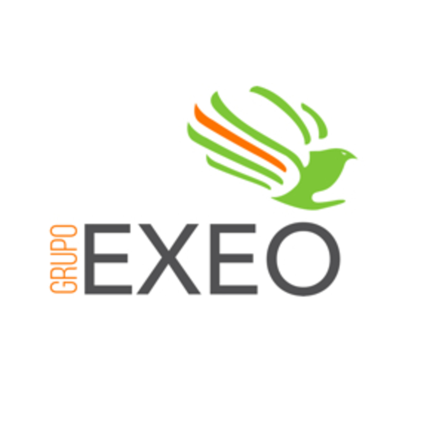 GRUPO EXEO