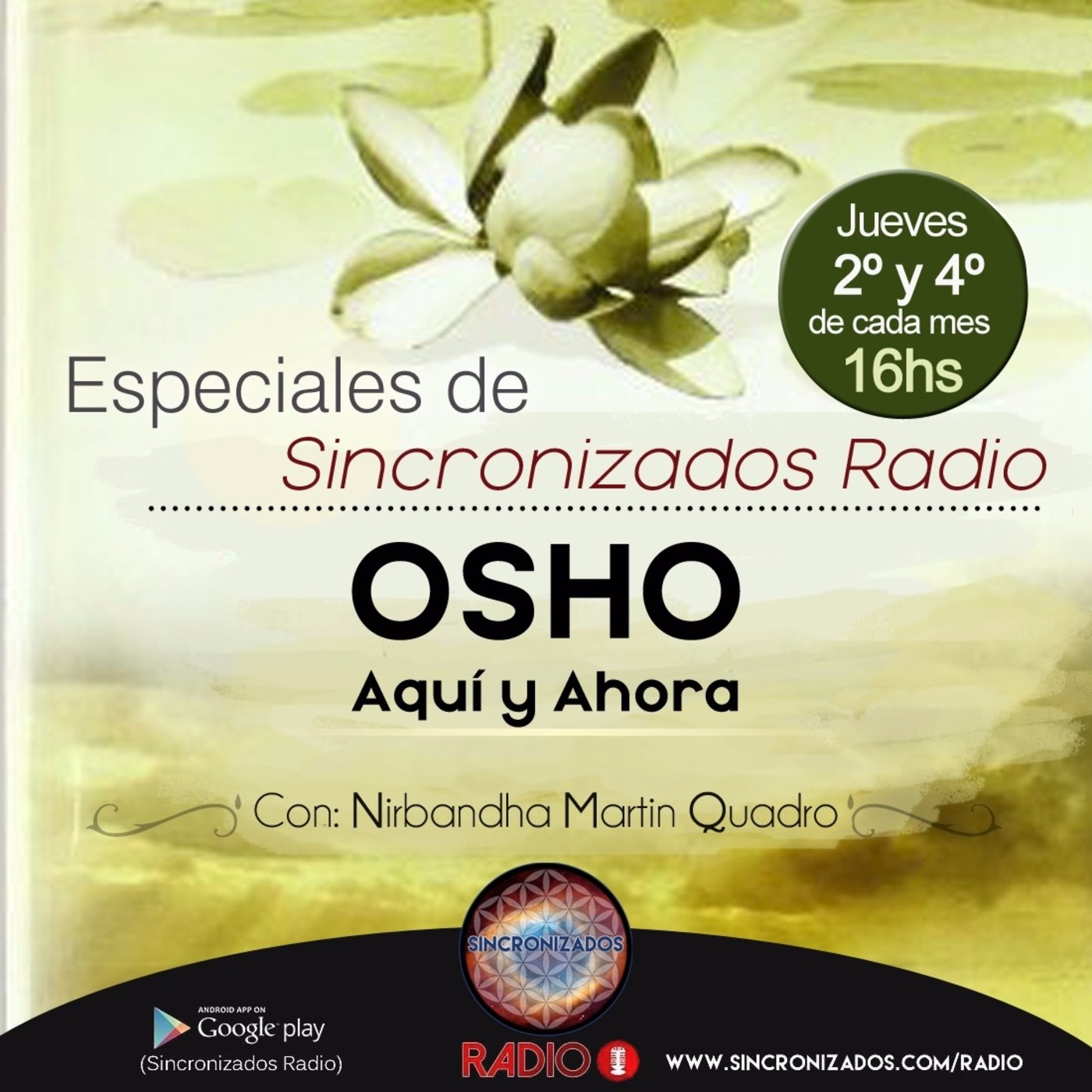 Especiales de Sincronizados Radio