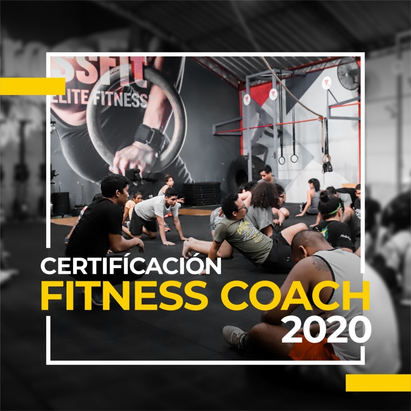 Fitness Coach - ¡Clases gratis!